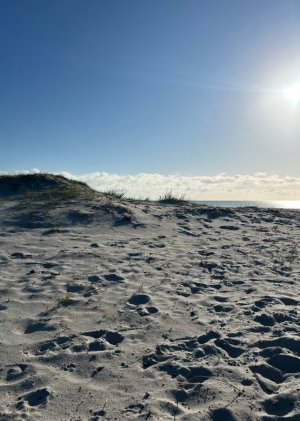 IMG_4048.jpeg