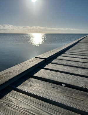 IMG_4049.jpeg