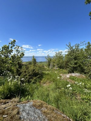 IMG_4073.jpeg