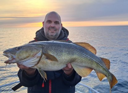 20250529_221828.jpg 20250529_221828.jpg