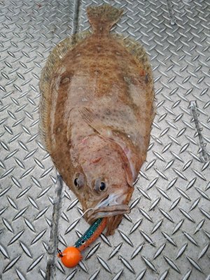 20250529_212900.jpg 20250529_212900.jpg