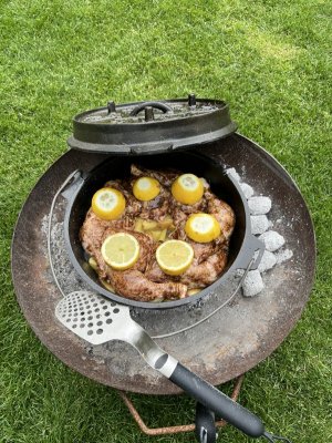 IMG_7337.jpeg IMG_7337.jpeg