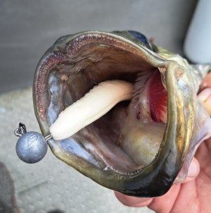 20250530_110505.jpg 20250530_110505.jpg