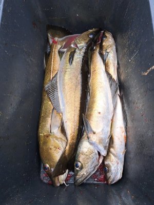 20250530_122305.jpg 20250530_122305.jpg