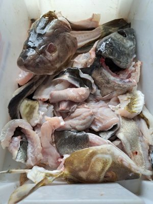 20250530_133903.jpg 20250530_133903.jpg