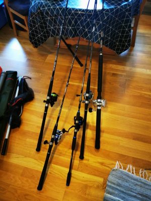 IMG_20250530_170617-01.jpeg IMG_20250530_170617-01.jpeg