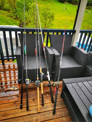 IMG_20250530_170627-01.jpeg IMG_20250530_170627-01.jpeg