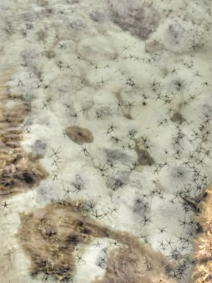 IMG_20250530_195247-01.jpeg IMG_20250530_195247-01.jpeg