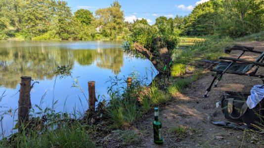 PXL_20250530_155252204.RAW-01.COVER.jpg PXL_20250530_155252204.RAW-01.COVER.jpg