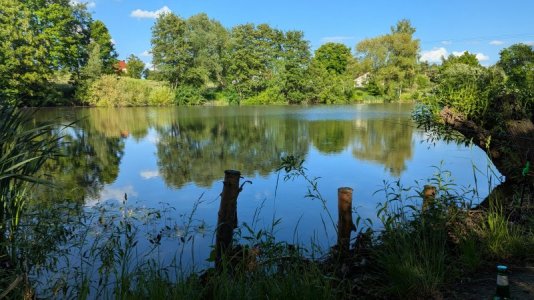 PXL_20250530_155300574.RAW-01.COVER.jpg PXL_20250530_155300574.RAW-01.COVER.jpg