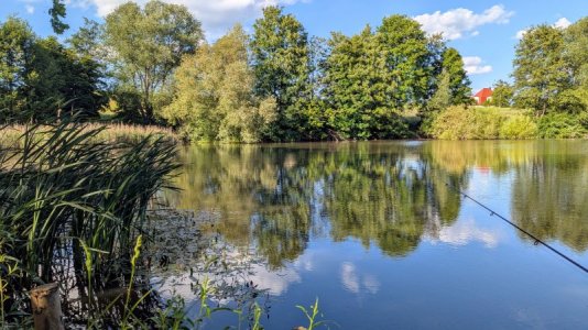 PXL_20250530_155323727.RAW-01.COVER.jpg PXL_20250530_155323727.RAW-01.COVER.jpg