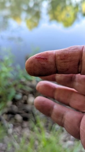 PXL_20250530_174602107.RAW-01.COVER.jpg PXL_20250530_174602107.RAW-01.COVER.jpg