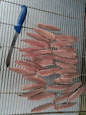 20250530_224907.jpg 20250530_224907.jpg