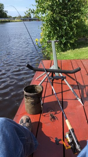 4A3621C7-20A6-4CFE-9C69-FA75D7C780C2.jpeg 4A3621C7-20A6-4CFE-9C69-FA75D7C780C2.jpeg