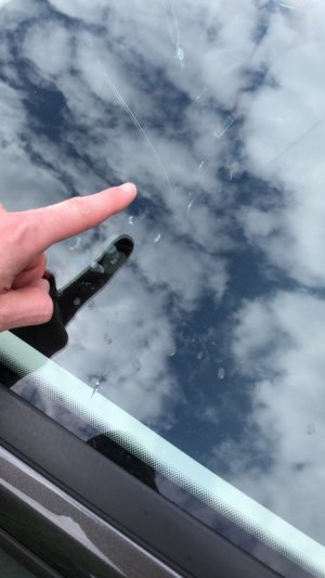 40F92BE1-3586-4D8A-9626-8BE6FBCC9E48.jpeg 40F92BE1-3586-4D8A-9626-8BE6FBCC9E48.jpeg