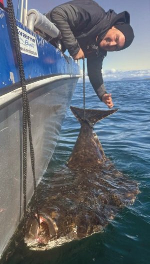 1748682882029-EDIT.jpg 1748682882029-EDIT.jpg