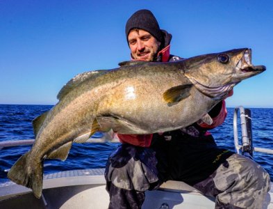 1748682960774.jpg 1748682960774.jpg