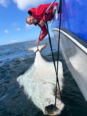 1748682814265.jpg 1748682814265.jpg