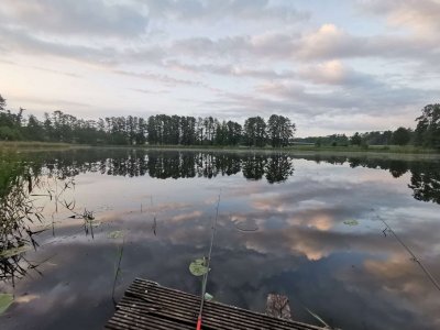 IMG-20250531-WA0001.jpg IMG-20250531-WA0001.jpg