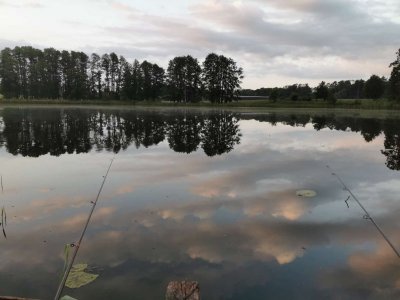 IMG-20250531-WA0000.jpg IMG-20250531-WA0000.jpg