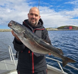 20250531_113930.jpg 20250531_113930.jpg