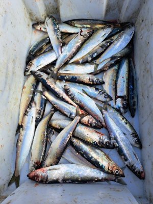 20250531_110749.jpg 20250531_110749.jpg