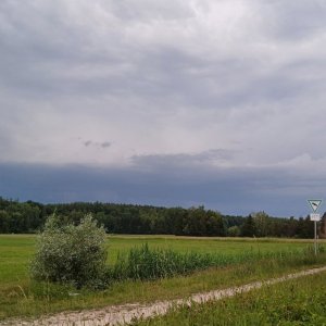 20250531_202819.jpg 20250531_202819.jpg