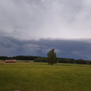 20250531_203804.jpg 20250531_203804.jpg