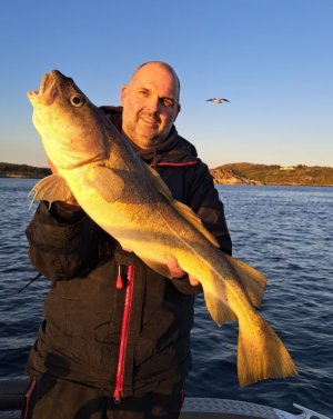 20250531_220046.jpg 20250531_220046.jpg