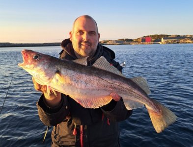 20250531_214524.jpg 20250531_214524.jpg