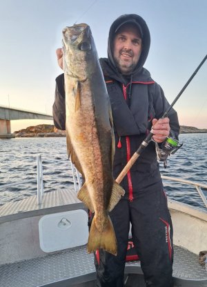 20250531_223815.jpg 20250531_223815.jpg