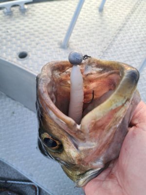 20250531_223735.jpg 20250531_223735.jpg