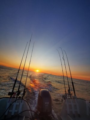 IMG_20250531_225510.jpg IMG_20250531_225510.jpg