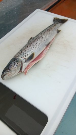 20250530_084345.jpg 20250530_084345.jpg