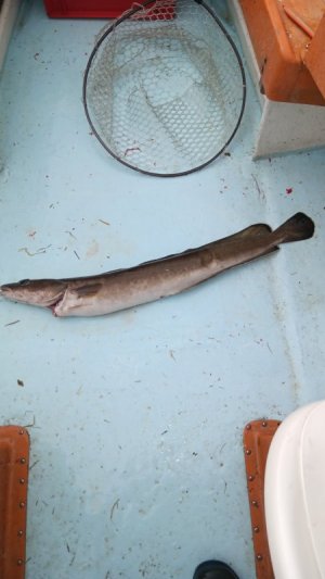 20250530_125736.jpg 20250530_125736.jpg