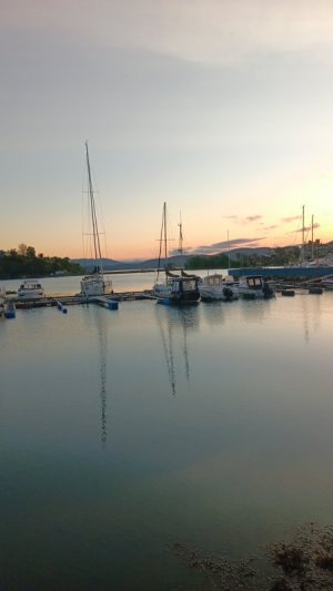 20250531_045446.jpg 20250531_045446.jpg