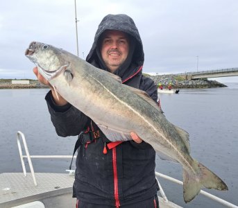 20250601_131131.jpg 20250601_131131.jpg