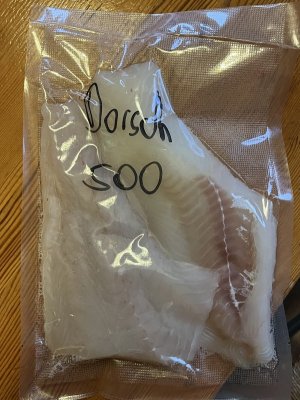 IMG_0428.jpeg IMG_0428.jpeg