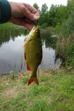 DSC05074.JPG DSC05074.JPG