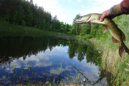 DSC05077.JPG DSC05077.JPG