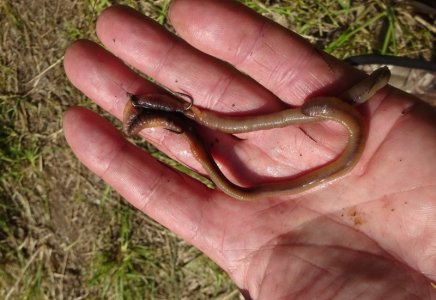 DSC05101.JPG DSC05101.JPG