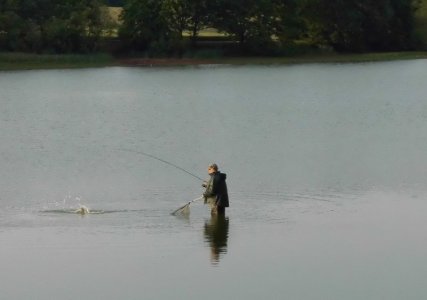 DSCI3635.JPG DSCI3635.JPG