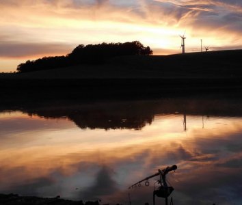 DSCI3654.JPG DSCI3654.JPG