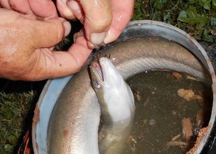 DSCI3656.JPG DSCI3656.JPG