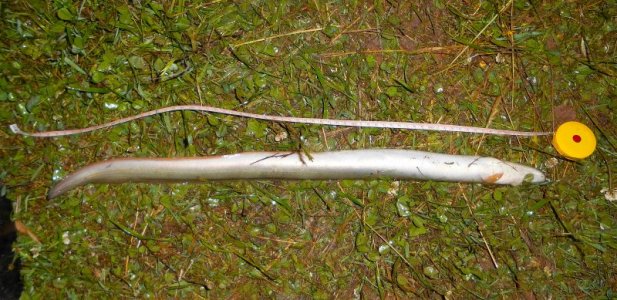 DSCI3673.JPG DSCI3673.JPG