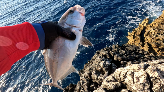 Screenshot (197).PNG