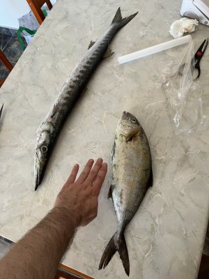 IMG_0807.jpg