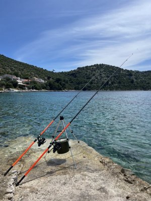 IMG_0842.jpg