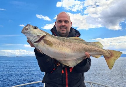 20250602_114914.jpg 20250602_114914.jpg