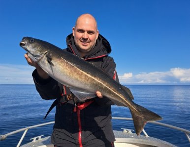 20250602_091304.jpg 20250602_091304.jpg